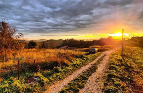 Conero Apartments - Foto 23