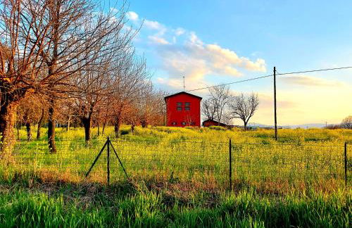 AGRITURISMO AZIENDA AGRICOLA FERRARI M.RITA - Photo 13