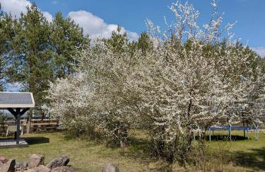 Kruszkanawierzbie - Foto 15