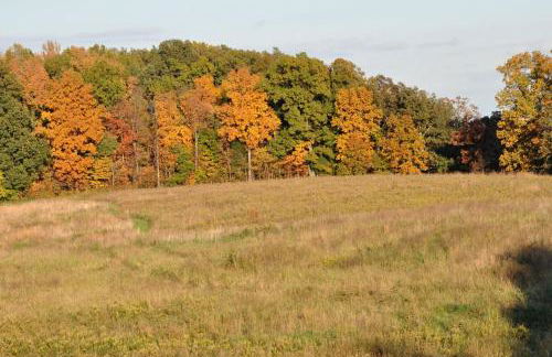 Beautifully Furnished Barn Getaway Located on a Sustainable Living Farm near Metropolis, Illinois - Photo 20
