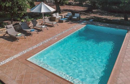 Monte 3 Alfarrobeiras - Foto 44