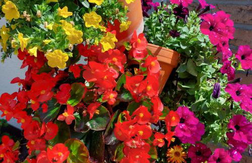 Ferienwohnung Pension Waldblick - Foto 41