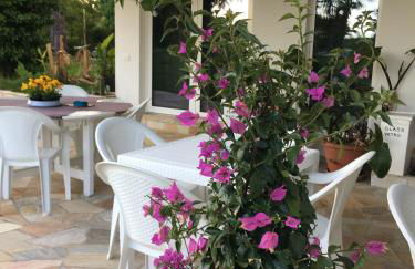 AgriturismoB&B Loggia Degli Artisti - Photo 26