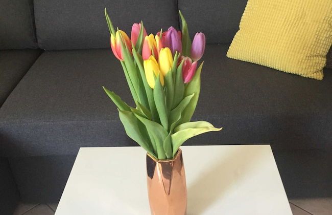 Apartments Roko - Foto 1