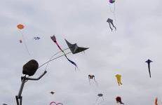 Maison de la Foret - Foto 9