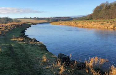 River Cottage - Photo 5