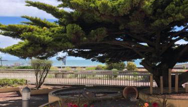 Vue Mer Santa Clara 3 - Photo 5