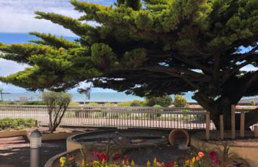 Vue Mer Santa Clara 3 - Photo 5