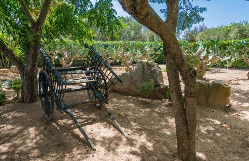 Casa Angela - Villa With Private Pool In Capdepera - Photo 112