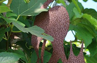 RiaEncontros- Villa T4 junto Ria e Pinhal - Foto 36