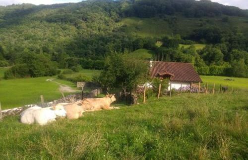 Alberroakoborda - Foto 33