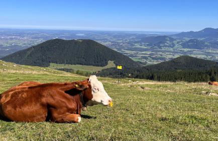 Villa am Goldbach - Foto 18