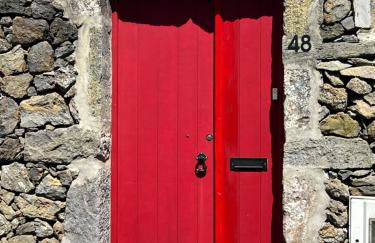 Time to Travel to Terceira - Photo 4