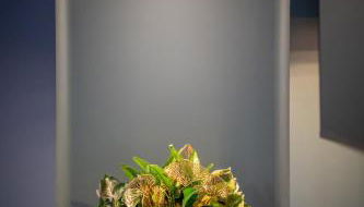 Canopée Suite - Loft Intimiste de charme à Candes - Photo 3