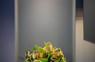 Canopée Suite - Loft Intimiste de charme à Candes - Foto 3