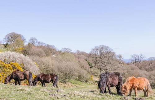 Honey Bee Cottage - Foto 21