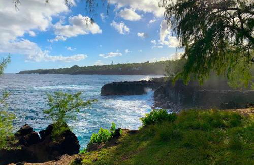 Seaside House and Aloha Bungalow - Foto 37