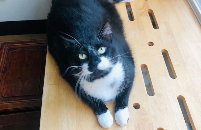 Agelandkaai.be - Photo 3