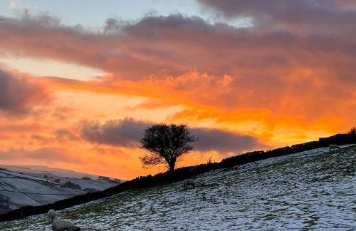 Willow Cottage At Naze Farm-Uk32760 - Foto 19