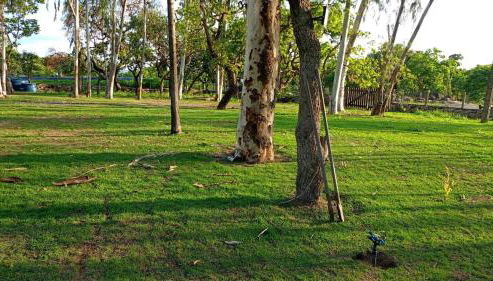 Serra Azul Farm Traquilidade e Natureza - Foto 2