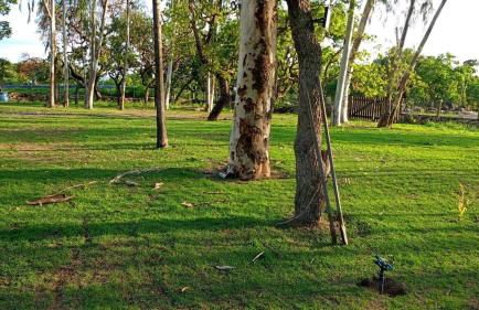 Serra Azul Farm Traquilidade e Natureza - Foto 2