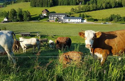 Ferienwohnung am Schneeberg - Foto 57