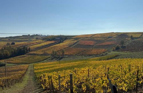 appartement Barbera - Foto 37