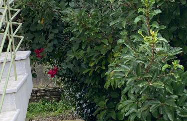 Aeria View - Foto 40