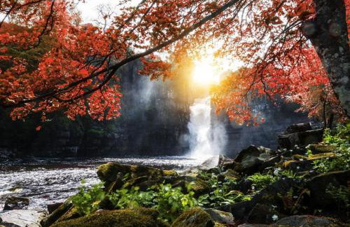 1 Bed in Bishop Auckland oc-36675 - Foto 22