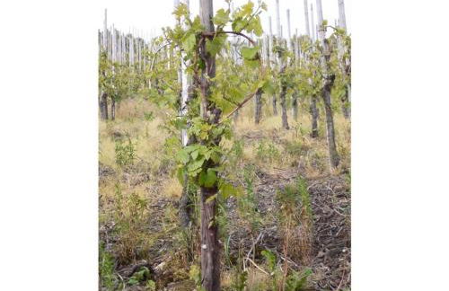 Marmann - large holiday apartment - Foto 13