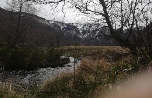 L'auvergnate - Foto 23