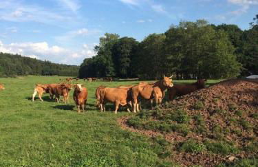 Ferienwohnung Schwabenhof - Foto 13