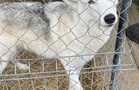 La maison d'Apolline - Photo 15