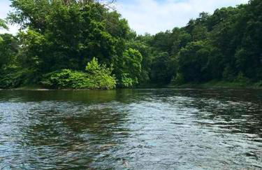 Rare River Views & Access, Cabin by Eden Islands - Foto 42