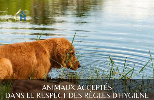 *l'Écrin de l'Étang* Dépaysement assuré - Foto 29