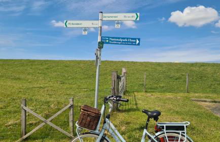 Ferienwohnung Baltrum auf dem Elisenhof Hagermarsch - Foto 39