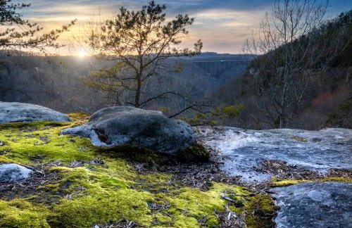 Forest Gap - Pizza oven, hot tub, EV charger - Foto 48