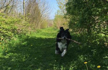 Sundowners panoramic views of countryside sea - Foto 21