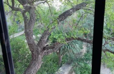 Mazet Des Artistes - Foto 75