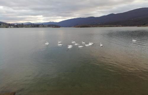 Studio apartment Meli - Foto 55