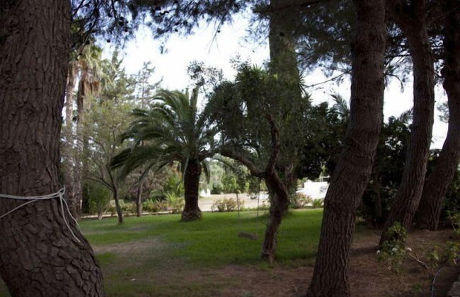 Tenuta Terenzano - Photo 31