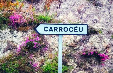 Carroceu Rural - Foto 16
