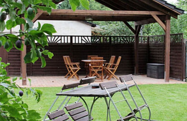 Pear - On the Fruit Tree - Foto 12