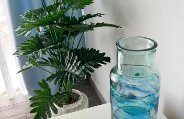 Casa Pura Vida - Photo 12