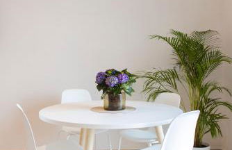 Green Apartments a Igea Marina - jungle - Foto 8