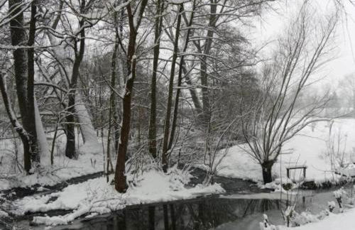 Ferienwohnung mit Sauna - Foto 67