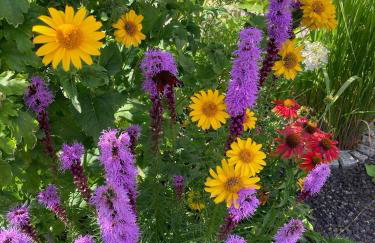 Haus Steffine - Photo 6