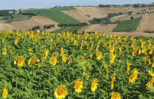 Il Giardino degli Ulivi - Foto 95