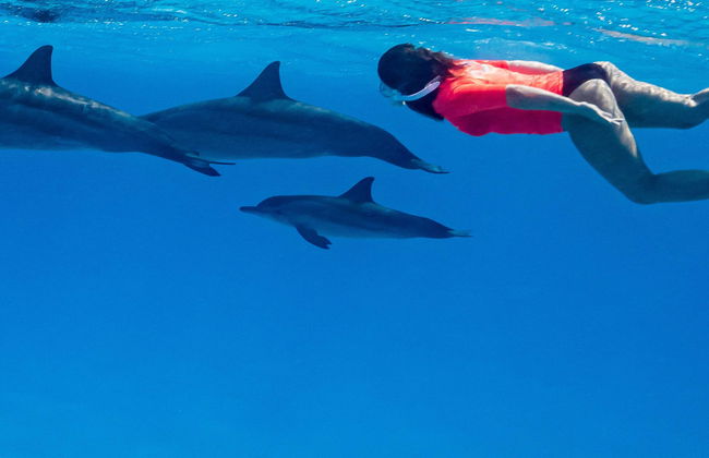 Sataya Reef Boat Trip + Snorkeling with Dolphins - Photo 7