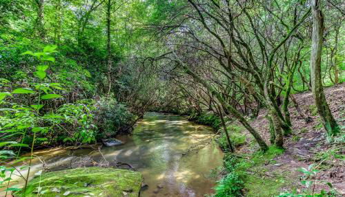 Wolf Creek Retreat - Foto 2